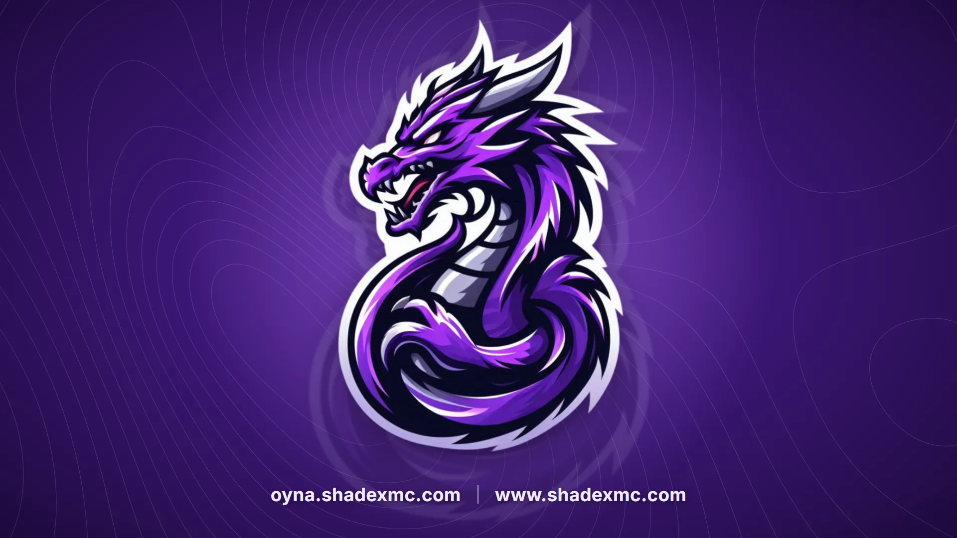 ShadexMC Açılıyor!
